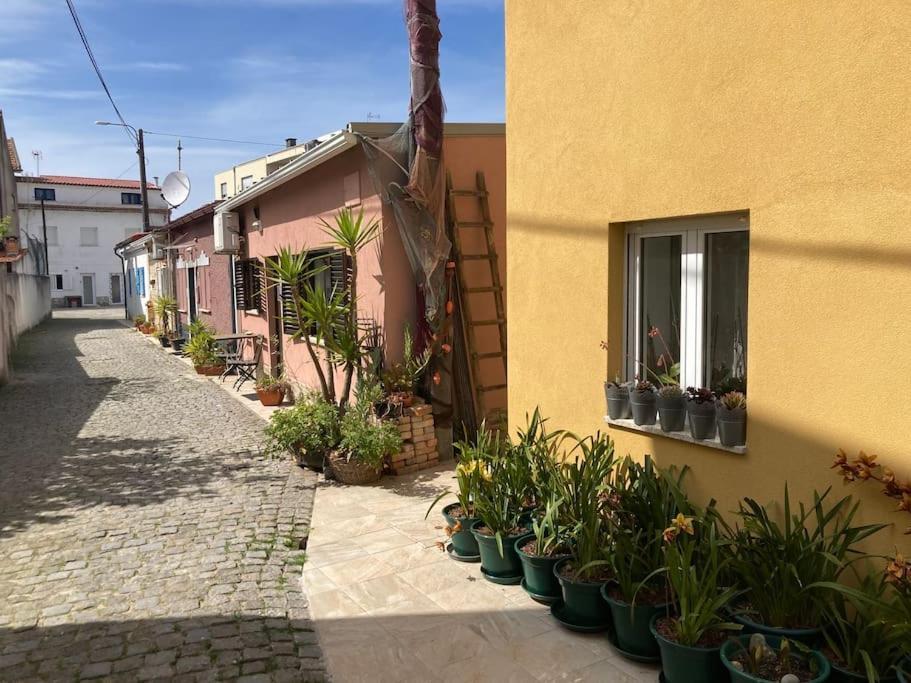 Casa Nova Villa Apúlia Exterior foto